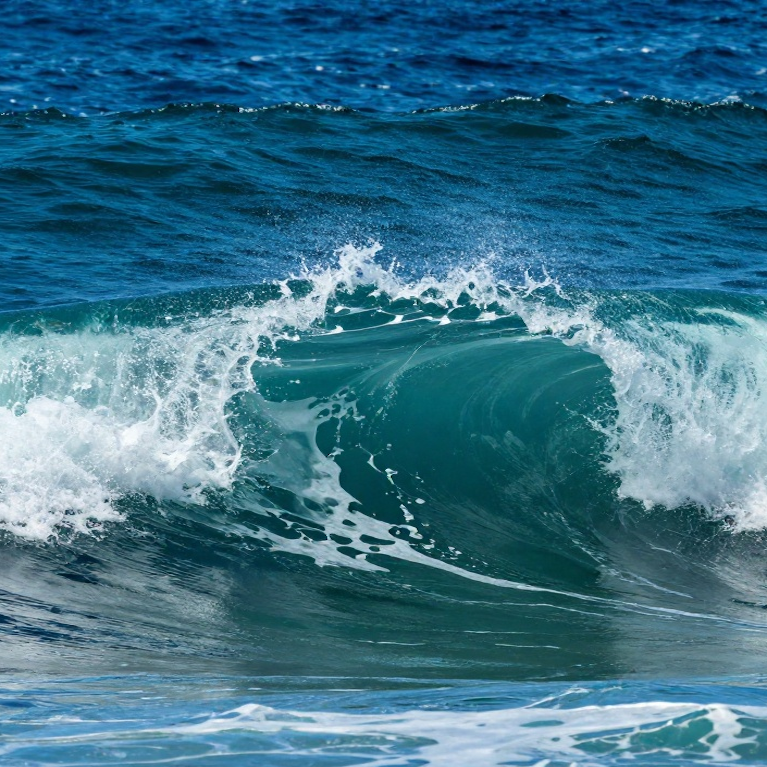 Pochette de Rhythms of the Deep Blue