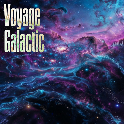 Pochette de Voyage Galactic
